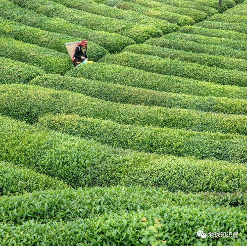 土耳其,控制西亞的水塔