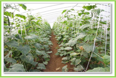 攜手旺農(nóng)產(chǎn)品銷(xiāo)售(重慶)