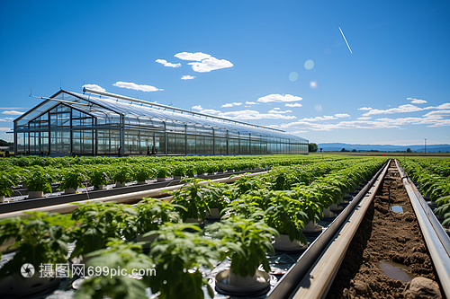 農(nóng)場中的建筑和農(nóng)作物
