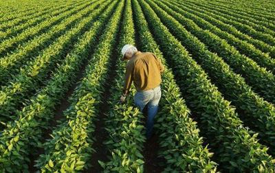 臺灣農(nóng)民出生的他,創(chuàng)業(yè)做農(nóng)產(chǎn)品發(fā)家致富