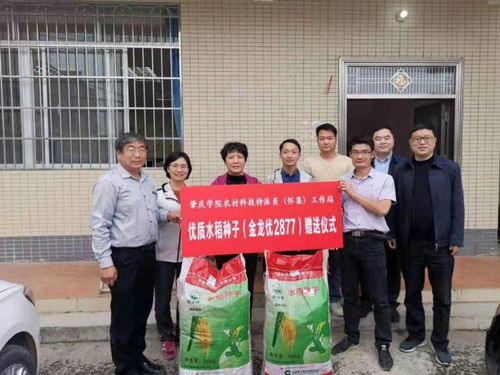 我校作為廣東省農(nóng)村科技特派員實(shí)施單位獲南方報(bào)道，助力農(nóng)作物收購升級